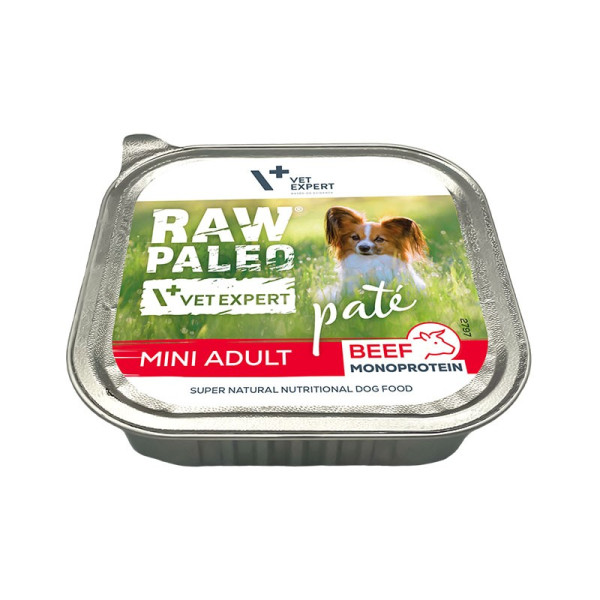 RAW PALEO PATE MINI ADULT BEEF
