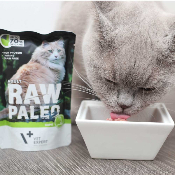 RAW PALEO ADULT CAT GAME 100G