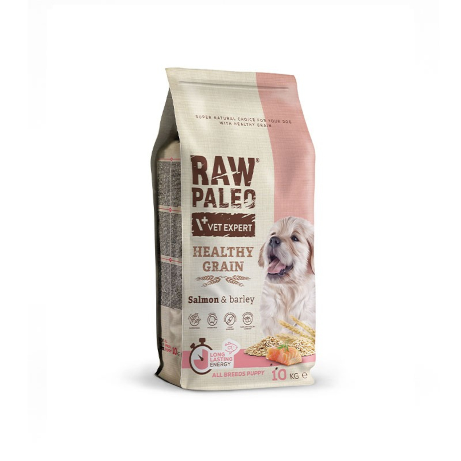 RAW PALEO HEALTHY GRAIN PUPPY SALMON - suché krmivo s lososom pre šteniatka