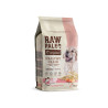 RAW PALEO HEALTHY GRAIN PUPPY SALMON