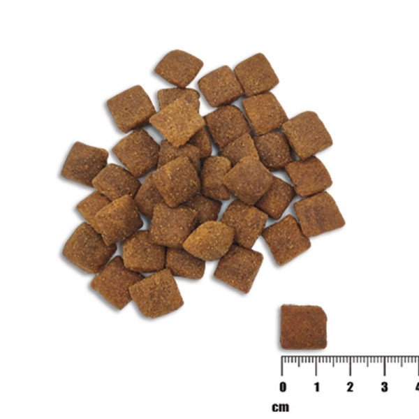 RAW PALEO HEALTHY GRAIN ADULT LAMB