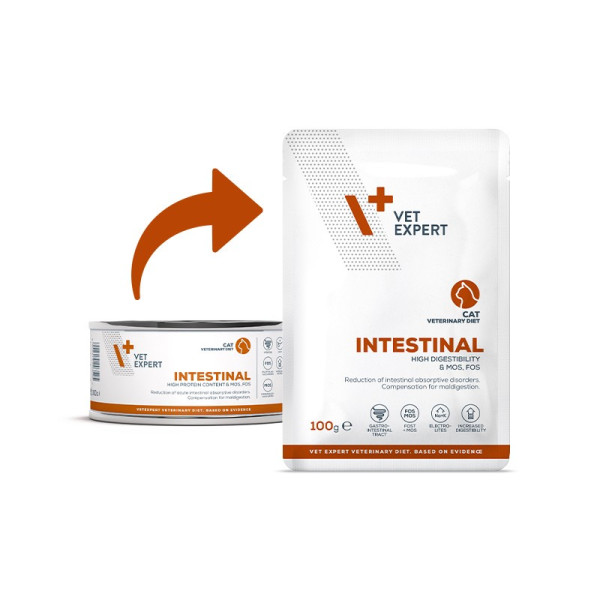 VET EXPERT INTESTINAL CAT sáčok 100g