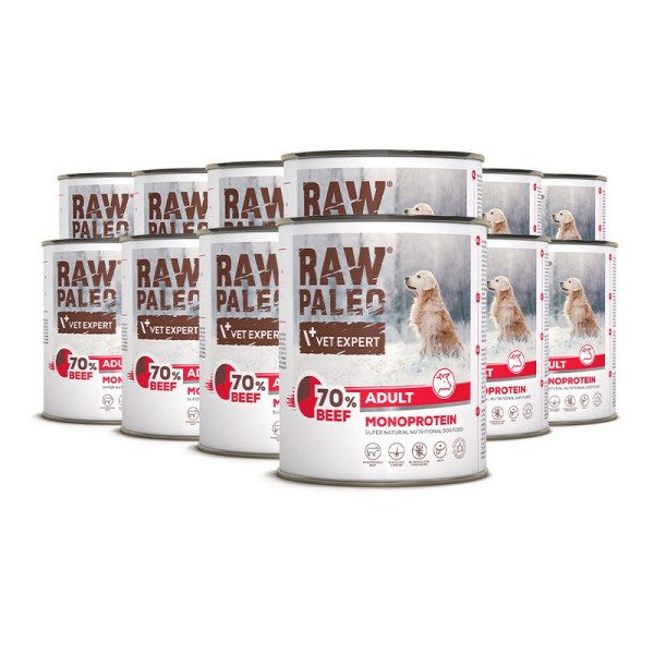RAW PALEO ADULT DOG BEEF 12X800G