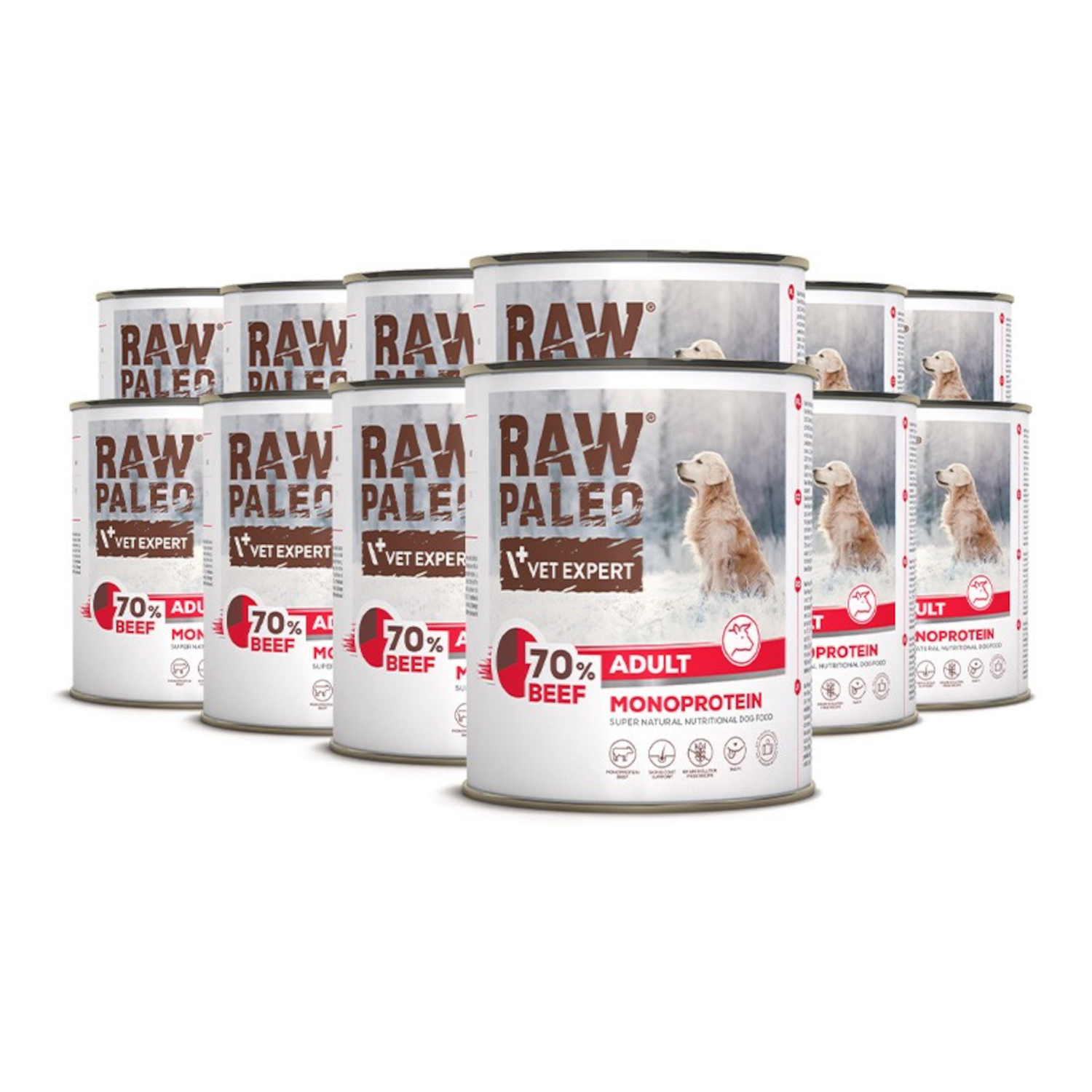 RAW PALEO ADULT DOG BEEF 12X800G