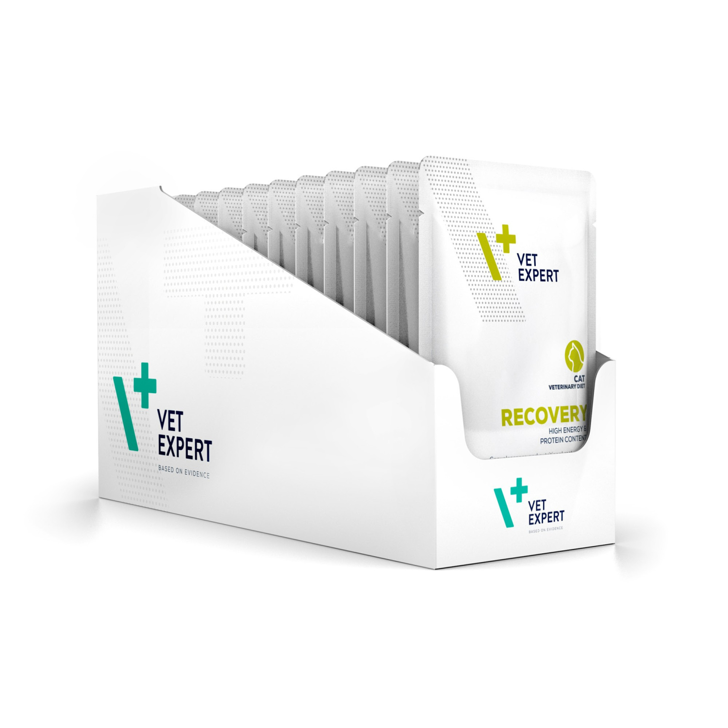 Vet Expert RECOVERY CAT 12X100G