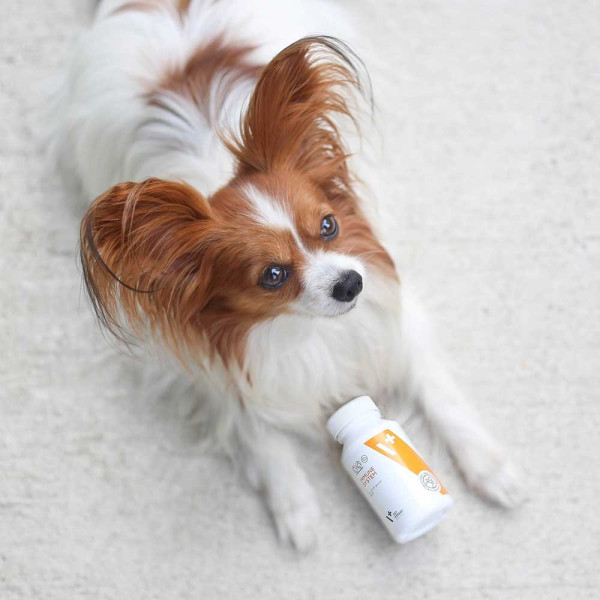 VET EXPERT Immune system 30 kapsúl (TWIST OFF) – podpora imunity