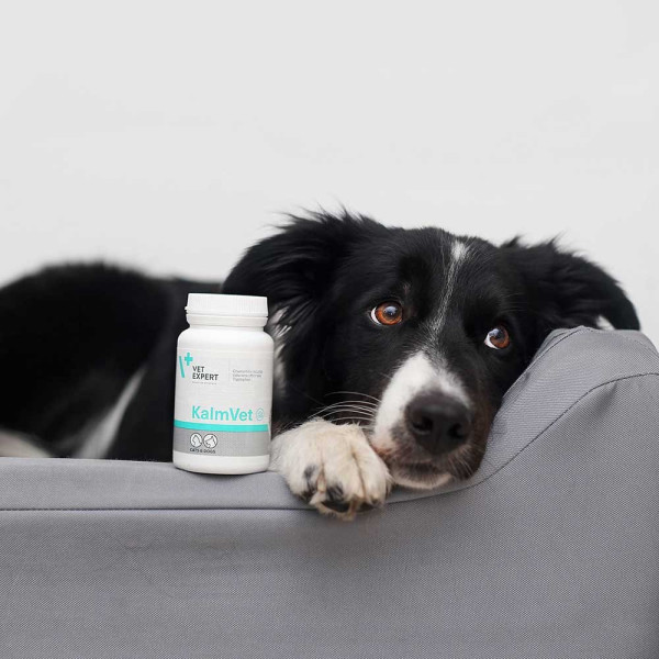 VET EXPERT KalmVet 60 kapsúl TWIST OFF – proti stresu