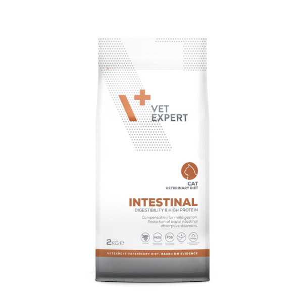 VET EXPERT INTESTINAL CAT