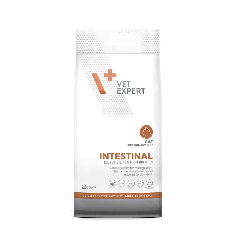 VET EXPERT INTESTINAL CAT