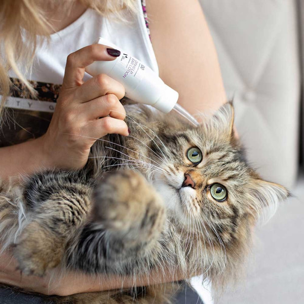 VET EXPERT OTIHELP EAR LOTION