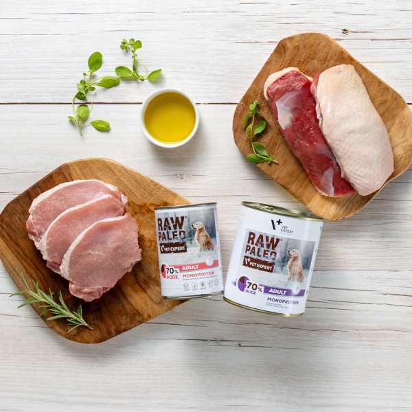 RAW PALEO ADULT DOG PORK 12X800G