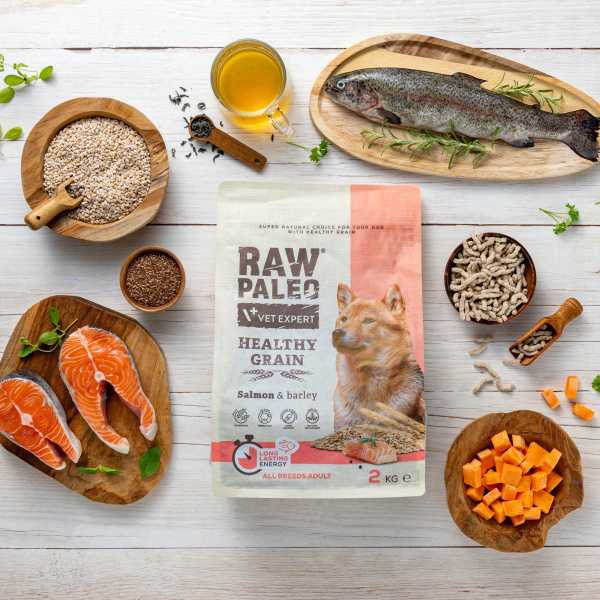 RAW PALEO HEALTHY GRAIN ADULT SALMON