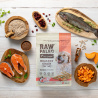RAW PALEO HEALTHY GRAIN PUPPY SALMON