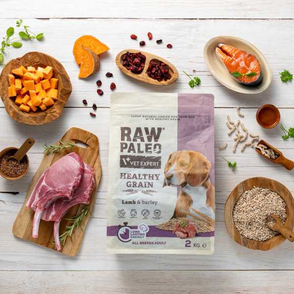 RAW PALEO HEALTHY GRAIN ADULT LAMB