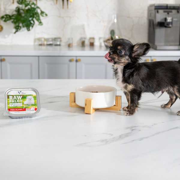 RAW PALEO PATE MINI PUPPY BEEF