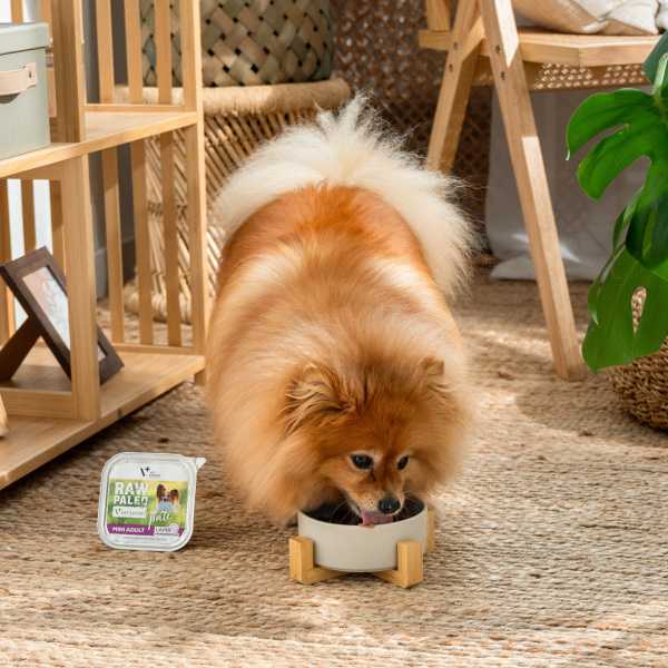 RAW PALEO PATE MINI ADULT LAMB