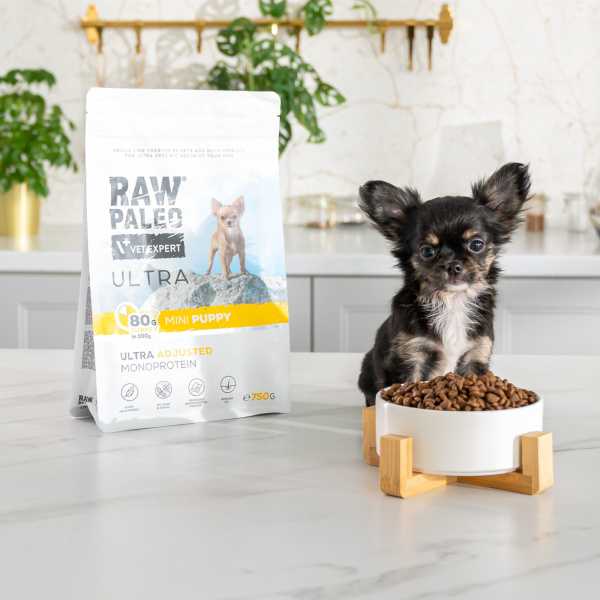 RAW PALEO ULTRA TURKEY PUPPY MINI