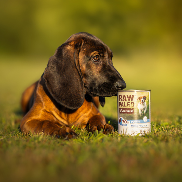 RAW PALEO ADULT DOG DUCK 12X800G