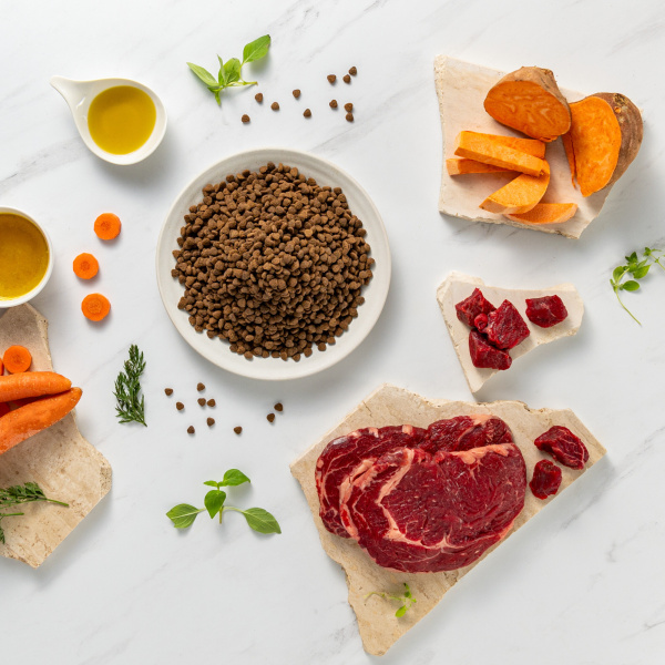 RAW PALEO ULTRA BEEF PUPPY MINI