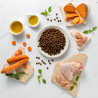 RAW PALEO ULTRA TURKEY PUPPY MEDIUM/LARGE