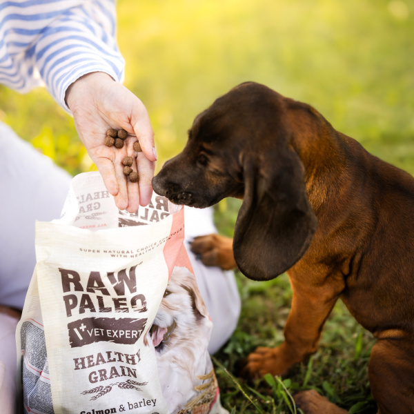 RAW PALEO HEALTHY GRAIN PUPPY SALMON