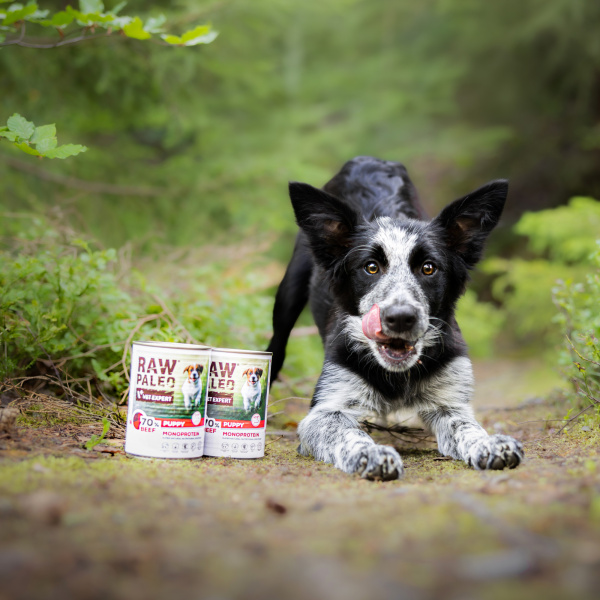 RAW PALEO PUPPY BEEF 400G