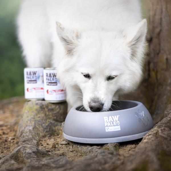 RAW PALEO ADULT DOG BEEF 400G