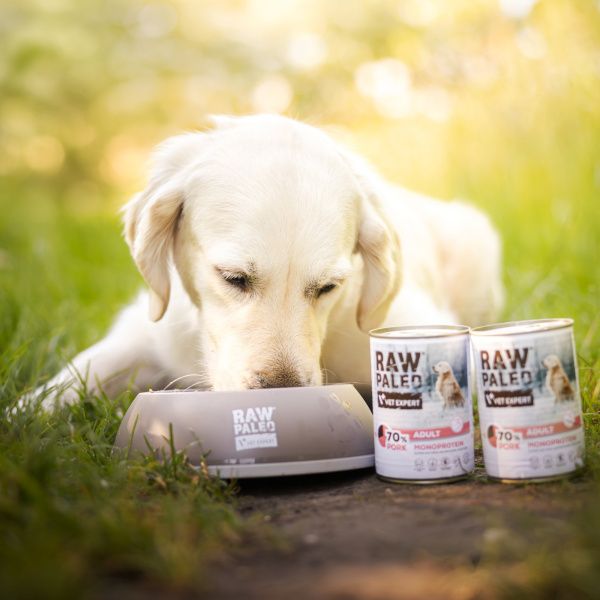 RAW PALEO ADULT DOG PORK 400G