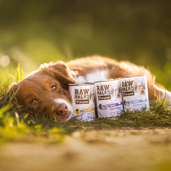 RAW PALEO ADULT DOG COD 400G - konzerva