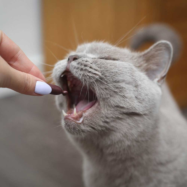 VET EXPERT URINOVET CAT DILUTION - podpora močových ciest pre mačky
