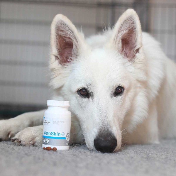 Vet Expert VETOSKIN