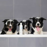 VET EXPERT BEAUTY & CARE SHAMPOO