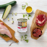 RAW PALEO BEEF&RABBIT ADULT CAN