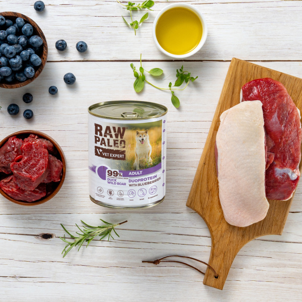 RAW PALEO DUCK&BOAR ADULT CAN