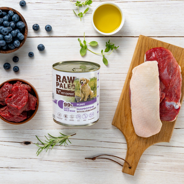 RAW PALEO DUCK&BOAR PUPPY CAN