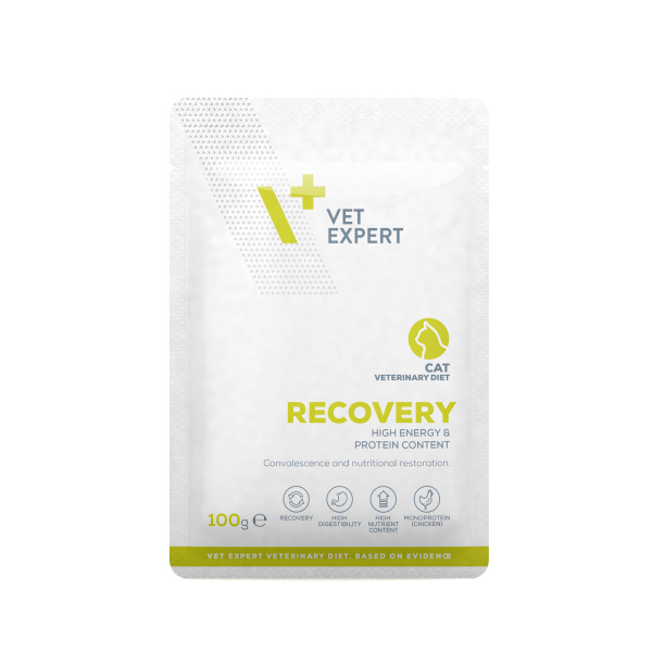Vet Expert RECOVERY CAT 12X100G