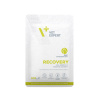 Vet Expert RECOVERY CAT 12X100G