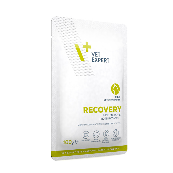 Vet Expert RECOVERY CAT 12X100G