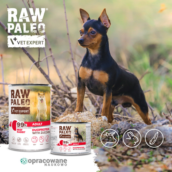 RAW PALEO BEEF&RABBIT ADULT CAN