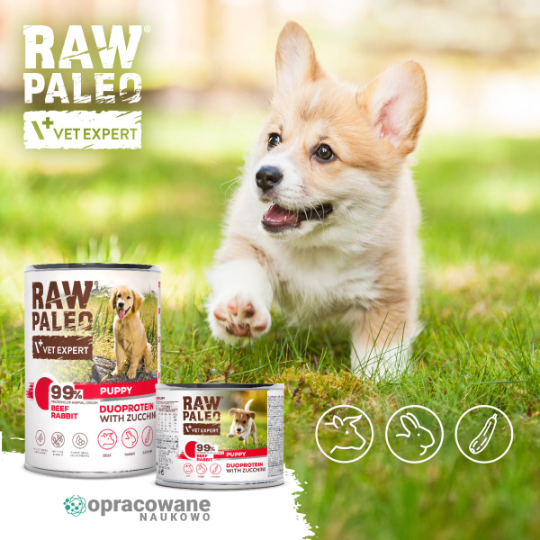 RAW PALEO BEEF&RABBIT PUPPY CAN