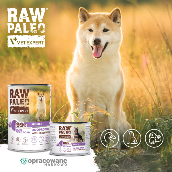 RAW PALEO DUCK&BOAR ADULT CAN