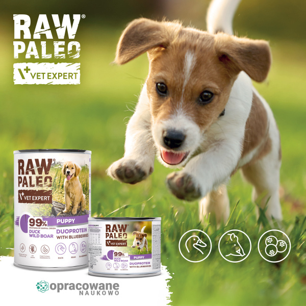 RAW PALEO DUCK&BOAR PUPPY CAN