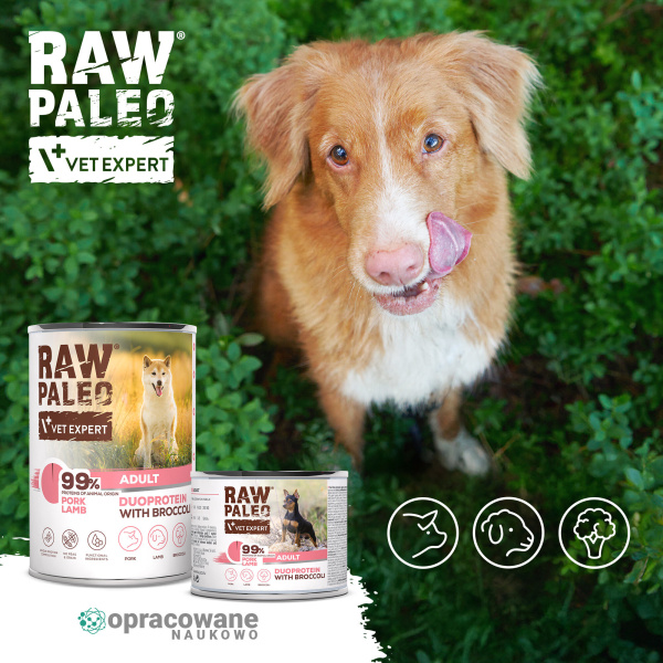 RAW PALEO PORK&LAMB ADULT CON