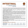 VET EXPERT INTESTINAL PUPPY 200g