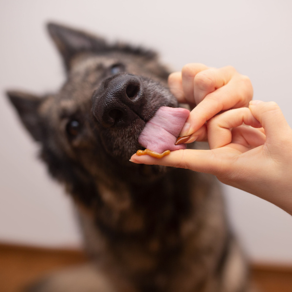 VET EXPERT VETOSKIN - podpora kože a srsti pre psy a mačky