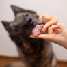 VET EXPERT VETOSKIN - podpora kože a srsti pre psy a mačky