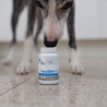 VET EXPERT VETOSKIN - podpora kože a srsti pre psy a mačky