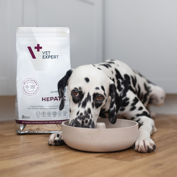 VET EXPERT HEPATIC DOG