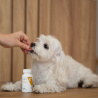 Vet Expert MULTIVITAMÍN