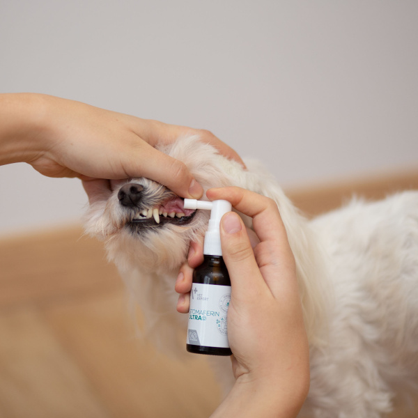 VET EXPERT STOMAFERIN ULTRA – špecializovaný perorálny prípravok pre